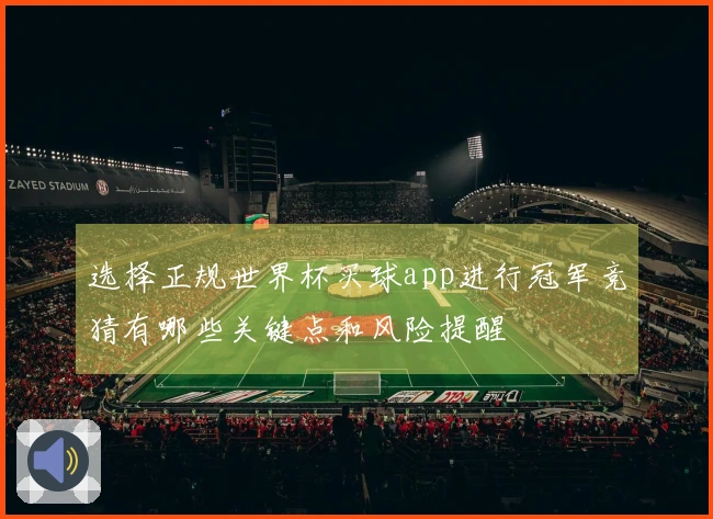 选择正规世界杯买球app进行冠军竞猜有哪些关键点和风险提醒