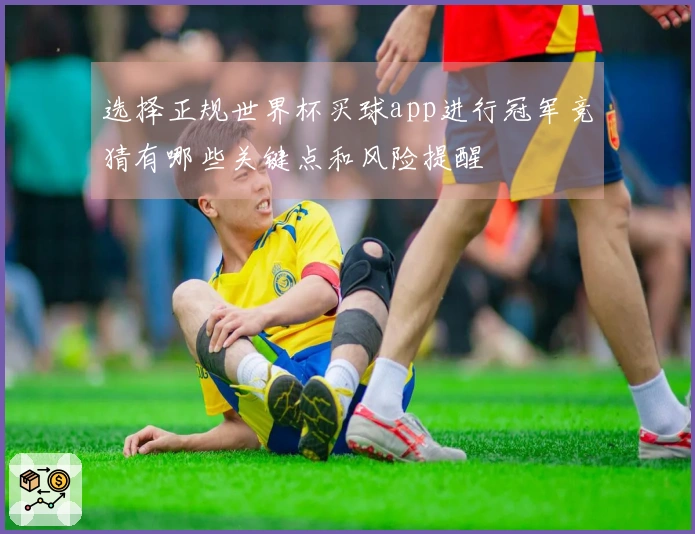 选择正规世界杯买球app进行冠军竞猜有哪些关键点和风险提醒