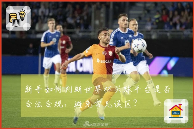 新手如何判断世界杯买球平台是否合法合规，避免常见误区？